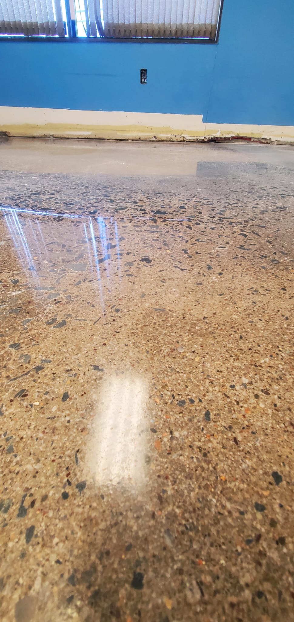 Industrial concrete polishing for a modern retail space in the HRM